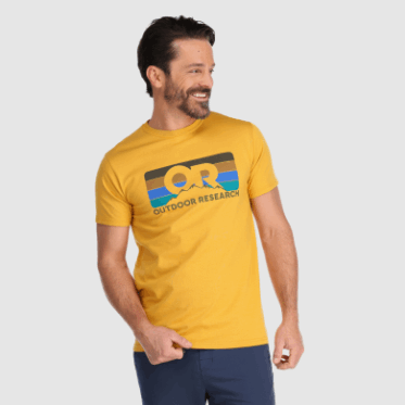 Alerce De La Camiseta De La Raya De La Investigación O Del Abogado Al Aire Libre